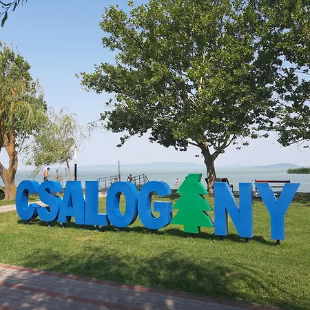 بيت للعطل Sunshine Vendeghaz *