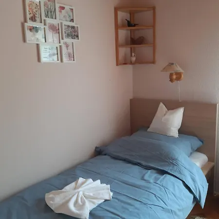 Sunshine Vendeghaz *