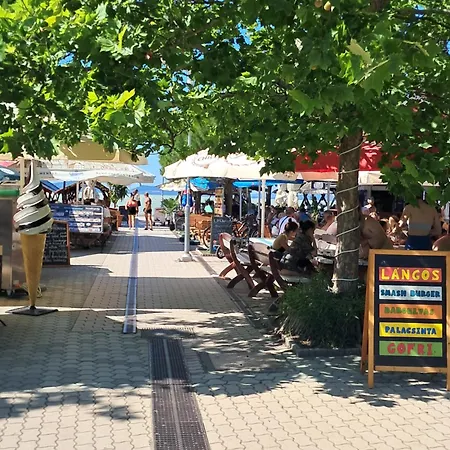 Sunshine Vendeghaz *